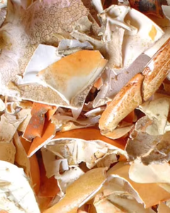 PREMIUM <b>CRAB</b> <b>SHELL</b> RAW MATERIAL FOR FEED AND FERTILIZER - Product Image 4