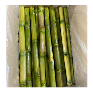 Frozen Sugarcane Chunks Peeled Ready To Use Frozen Sugarcane Packed For Beverage Factories Worldwide - Product Image 3