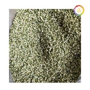 Flor de Jazmín Seca para Procesamiento de Té y Uso en Bebidas con Calidad Confiable y Precio de Fábrica Competitivo - Product Image 2