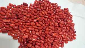 พลอยปะการังแดงธรรมชาติจากอิตาลี รูปทรงวงรี คุณภาพดี สำหรับทำเครื่องประดับ - Product Image 3