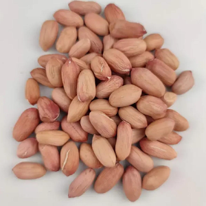 Noyaux d'arachides 100% naturels et biologiques, qualité export, vente en gros - Product Image 6