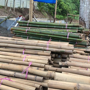 Piquets en bambou renforcés pour les cultures lourdes et les clôtures fabriqués à partir de matières premières de haute qualité - Product Image 2