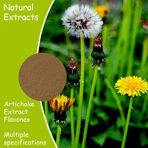 純粋なタンポポ根エキスフラボノイド豊富な粉末有機タンポポ根エキス粉末 - Product Image 2