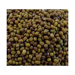 เมล็ดถั่วเขียวจาก Vigna - Product Image 1