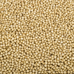 Superfood ragi เมล็ดข้าวฟ่างแบบวีแกนสีแดงแบบไม่ผ่านการจีโมลูกเดือยแอฟริกันที่อุดมด้วยสารอาหารขายส่ง - Product Image 6