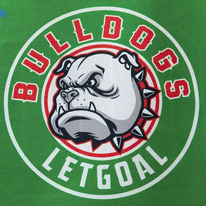 Custom Neutral Dark Green Ice Hockey Jersey Printing Professional Ice Hockey Factory Service - Product Image 3