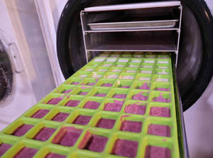 BEST SELLER yaourt lyophilisé pour la consommation en collation soutenant la vente au détail et l'exportation de produits alimentaires emballés au Vietnam - Product Image 5