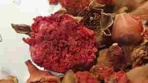 2026 Natural Pomegranate Dry <b>Flowers</b> Reasonable Price Dry <b>Flowers</b> High Quality 100% Mature Wholesale Storage Type Cool Place - Product Image 6