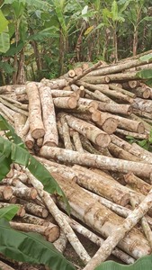 Produits en bois de haute qualité du Vietnam - Product Image 4