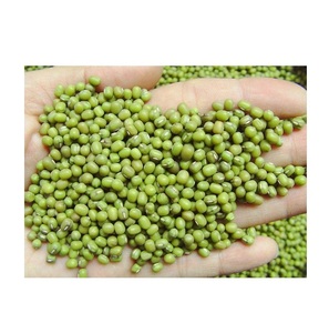 Frijoles Mung Verdes / Frijoles Vigna Mung de Primera Calidad, Frijoles Mung Naturales Convencionales Verdes - Product Image 3