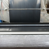 Noir et Argent 100% Vierge PE Agricole Paillis Film avec des trous Durable Résistant UV Perméable Taille personnalisable