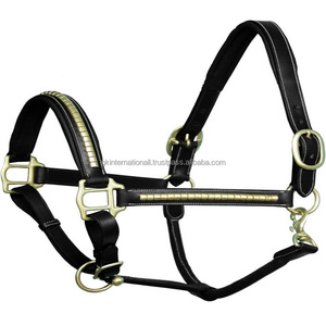 Comfortable Luxury Black Leather Horse <b>Halter</b> Decorated with Gold Brass Clincher on Cheek and Noseband Double Crown Buckle - Product Image 1