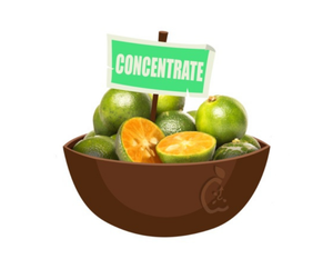 Premium Quality Frozen Calamansi Puree Vietnam Export Ready Bulk Wholesale 100% Natural Aromatic Puree <b>for</b> Juices <b>Smoothies</b> - Product Image 6