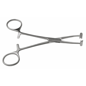 Pinza Veterinaria en Forma de T de Acero Inoxidable de Alta Calidad, Reutilizable para Ganado, Animales de Granja, Instrumento Quirúrgico Veterinario - Product Image 3