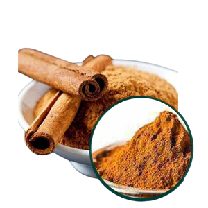 Polvo de Corteza de Cassia de Primera Calidad a Precio Económico, Suministro de Fabricante Vietnamita, Sabroso y en Oferta, Empacado en Caja de 20 kg - Product Image 1