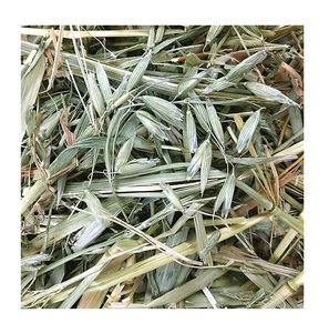 El mejor precio, heno de avena natural para caballos y ganado/heno de avena seca, stock a granel disponible con embalaje personalizado - Product Image 1