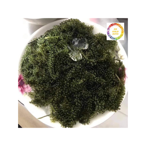 Raisins de mer naturels emballés avec des nutriments parfaits pour les régimes céto et la préparation de repas végétaliens hypocaloriques - Product Image 3