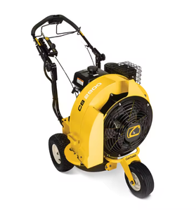 Souffleur à feuilles thermique CubS CadetS CB2900 – Prix réduit – Manuel, électrique, essence, alimentation pneumatique - Product Image 1
