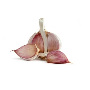 Ail pelé frais-Qualité supérieure et prix compétitifs - Product Image 1