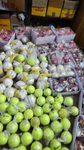 Paquete de 1000 pelotas de tenis presurizadas personalizadas para niños, perros, jugadores, fanáticos de tenis de críquet para entrenamiento, hechas de lana de goma - Product Image 2