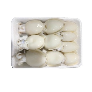 Seiches entières nettoyées et surgelées en vrac Fruits de mer du Vietnam pour grossistes et distributeurs - Product Image 3