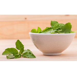 Herbojit International Superior Quality Tulsi Leaf <b>Extract</b> Pure Natural Herbal Ingredient India Available Bulk Vacuum Extraction - Product Image 4