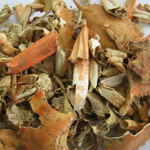 Polvo de concha de cangrejo NATURAL DE BASE MARINA | Mejora la resistencia de las plantas naturalmente - Product Image 4