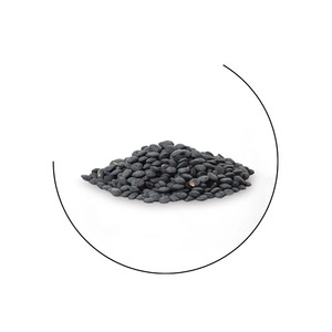 Prix de gros de lentilles noires séchées naturelles de haute qualité pour l'exportation de produits alimentaires en vrac - Product Image 2