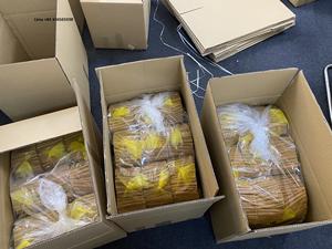 PRECIO DE FÁBRICA-ALTA CALIDAD 100% CASSIA ORGÁNICA/CANELA DE VIETNAM/ Lima - Product Image 6