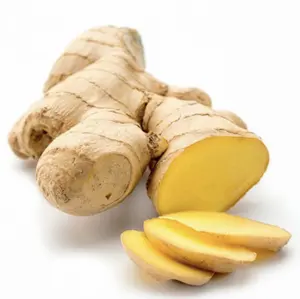 MATURE GINGER STRONG TASTE SPICY GINGER FOR COOKING VIETNAM GINGER SELL IN BULK LARGE SIZE