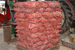 Bûches <span class=keywords><strong>de</strong></span> bois <span class=keywords><strong>de</strong></span> chauffage séchées au four, emballées en sac fileté rouge, prêtes à l'emploi - Product Image 6