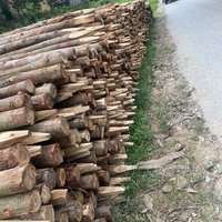 Fábrica de Vietnam, venta al por mayor, estacas de madera artesanales DIY para construcción y valla de granja, poste de madera, materiales de mampostería de alta calidad