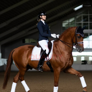 Tapis de selle anglais de qualité supérieure doublure douce respirante en coton matelassé confort durable pour le soutien des performances du cheval et du cavalier - Product Image 6