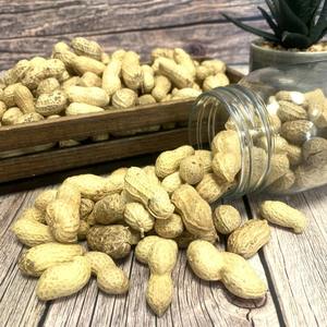 Stock frais de cacahuètes décortiquées prêt pour l'expédition offrant le meilleur goût cacahuètes décortiquées naturelles pour l'achat en gros - Product Image 6
