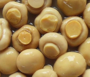 Hongos de paja enlatados Premium en salmuera, opciones enteras y en rodajas de Vietnam para compradores Mayoristas | Ms Shyn Tran - Product Image 3