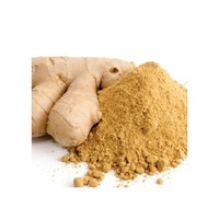 Poudre de gingembre séché de qualité supérieure, épices et herbes uniques pour la pâtisserie, les smoothies, les formulations traditionnelles, vente en gros Herbojit