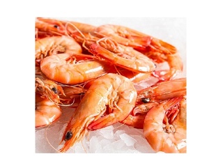 Camarones Rojos Congelados IQF (Variedad Tigre Negro) en Oferta, Estilo Fresco, de Proveedor Canadiense - Product Image 5