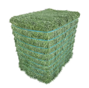 Heno de Alfalfa en Pacas 100% Natural Sin OMG para Productos Animales de Etiqueta Limpia y Operaciones de Alimentación con Pasto - Suministro al por Mayor - Product Image 3