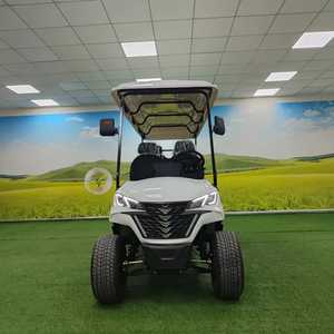 Carrito de golf eléctrico miniatura de 4 plazas, legal para circular en carretera en EE. UU., nuevo, personalizable. - Product Image 3