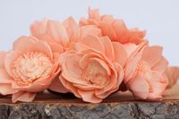Fleurs de Camélia Sola Biologiques Écologiques Faits Main de Haute Qualité pour Décoration Intérieure/Extérieure d'Halloween – Vente en Gros
