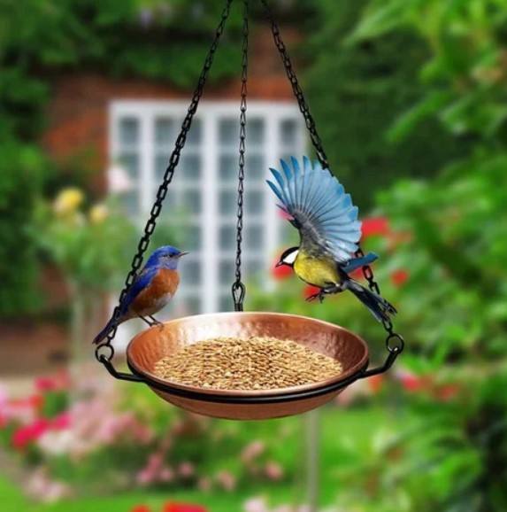 ตามที่แสดง