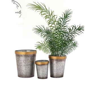 Juego de Macetas Metálicas Exnorlan con Borde Dorado, Macetas Modernas para Interiores, Decoración del Hogar, Estilo Minimalista - Product Image 1