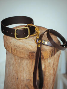 Conjunto de Collar y correa para perro, 38mm de ancho, marrón oscuro - Product Image 4