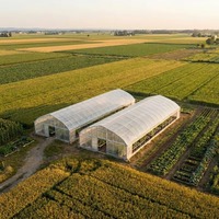 Serre commerciale à grande portée en film plastique avec structure en acier galvanisé stabilisé aux UV pour la culture de légumes et de fleurs