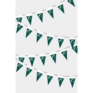 Pakistan Triangular Flag Bunting for Ramadan New Year Valentine's Day Wall Decor and Party Item Paper <b>Banner</b> - Product Image 1