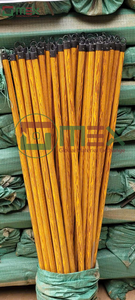 Balais en bois de qualité supérieure GMEX Vietnam, prix d'usine, vente en gros, tête en plastique, écologique, classique, nettoyage facile, 120 cm - Product Image 3
