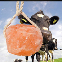 100% naturel rose himalayen roche sel Animal léchant lampe ou fleur Style pour bétail cheval vache buffle prix usine