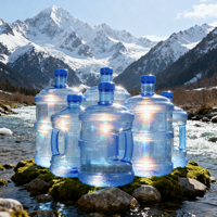 Bouteille d'eau en plastique personnalisée OEM de 5 gallons 3L 5 Lit 7,5 L 11,3 L 15L 18L Seau transparent durable en PC avec poignée