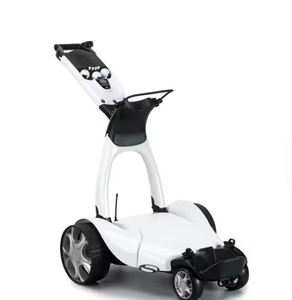 Carrito de Golf Eléctrico GolfX9 de Alta Calidad con Control Remoto y Batería Adicional, Accesorios Completos - Product Image 1