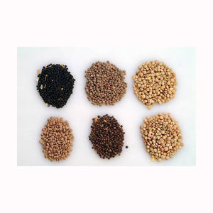 Calidad superior 1 kg Legumbres secas saludables Pulsos Frijoles Lentejas-Lentejas Rojas Lentejas Envasado de alimentos para la venta - Product Image 2